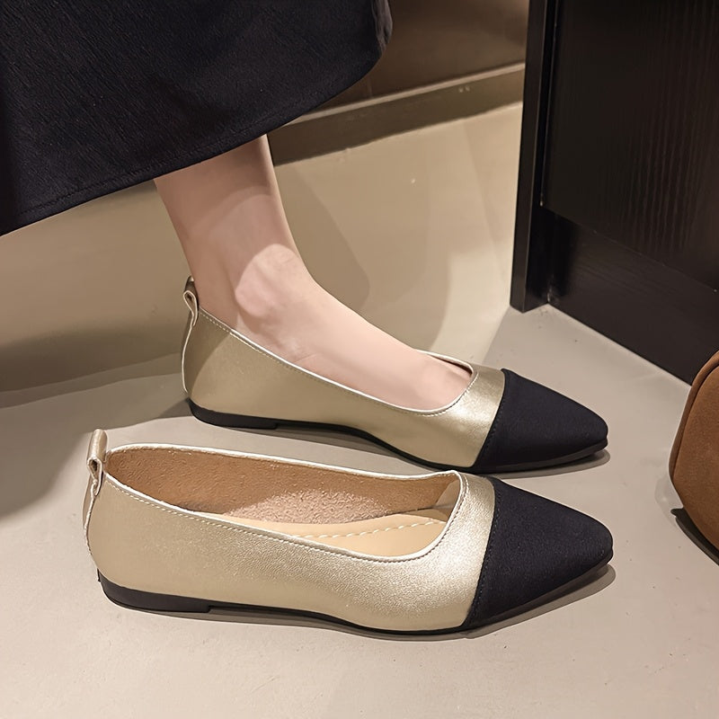 Danaé | Ballerines pointues bicolores